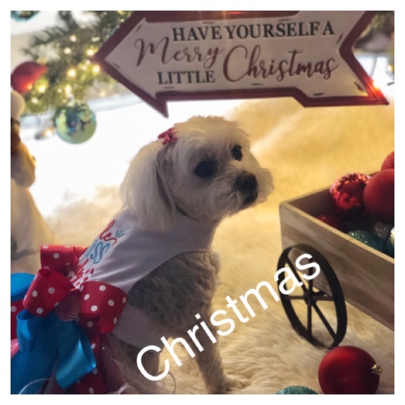 Woohoo CHRISTMAS DECOR - Picture 1 of 1